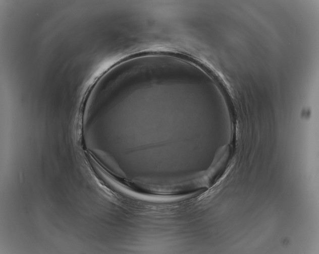 X0000095551367200712141546