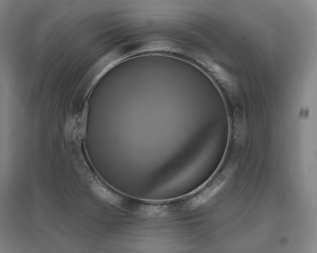 X0000095551369200712141545