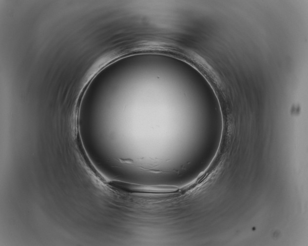 X0000095551370200712141545
