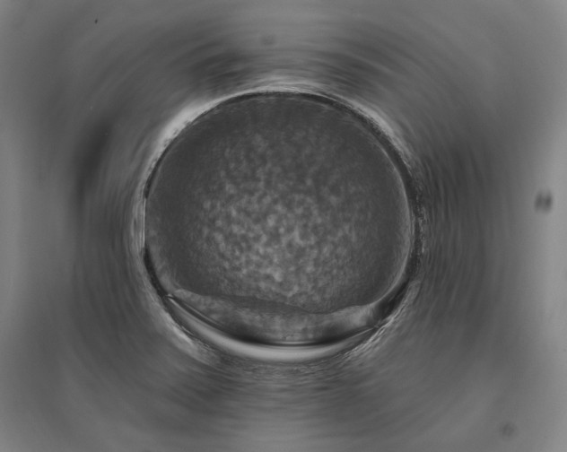 X0000095551371200712141545