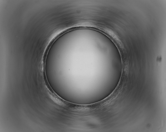 X0000095551372200712141545
