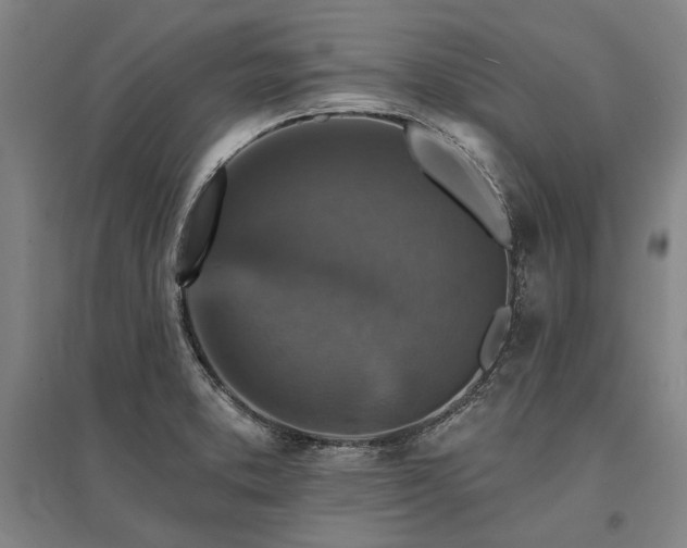 X0000095551373200712141545