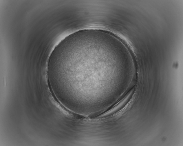 X0000095551374200712141545