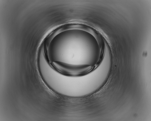 X0000095551376200712141545