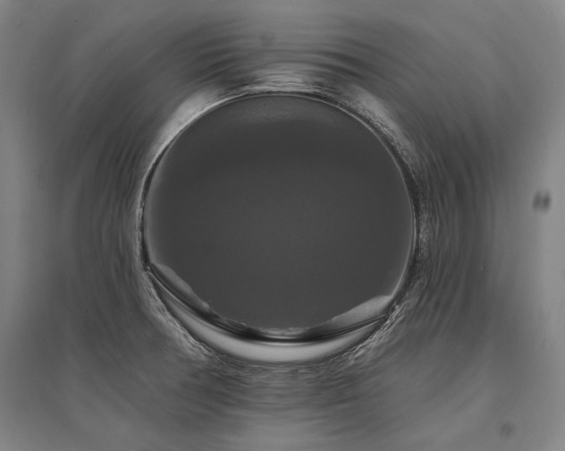 X0000095551378200712141545