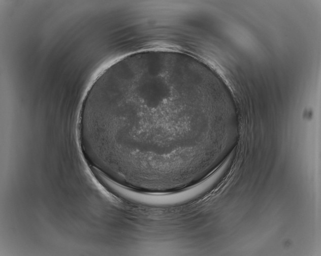 X0000095551379200712141545