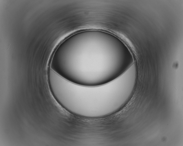 X0000095551380200712141545