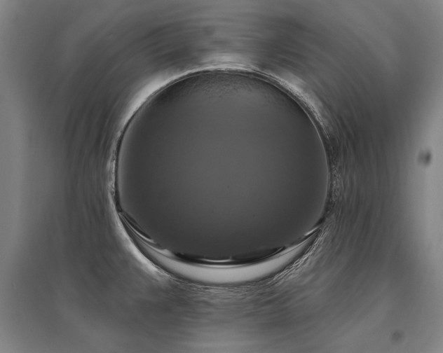 X0000095551383200712141545