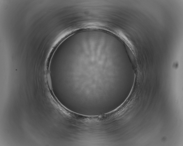 X0000095551384200712141545
