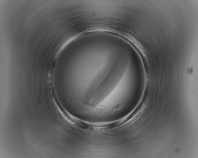 X0000095551385200712141545
