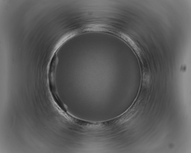 X0000095551386200712141545