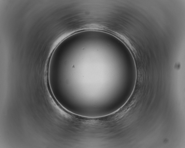 X0000095551387200712141545