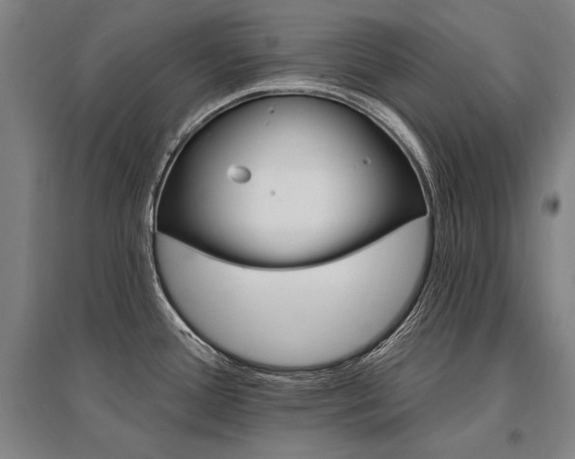 X0000095551388200712141545