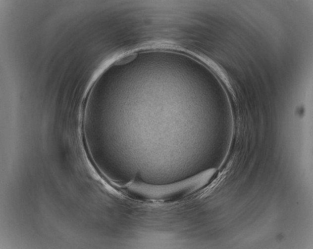 X0000095551390200712141545