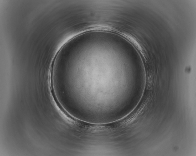 X0000095551391200712141545
