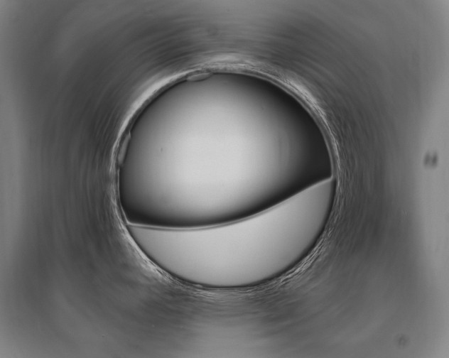 X0000095551392200712141545