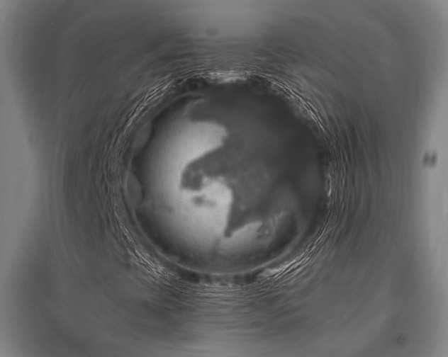 X0000095551393200712141544