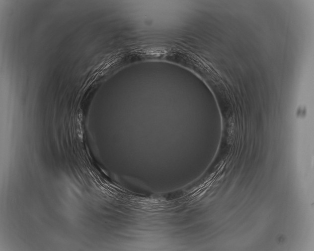 X0000095551394200712141544