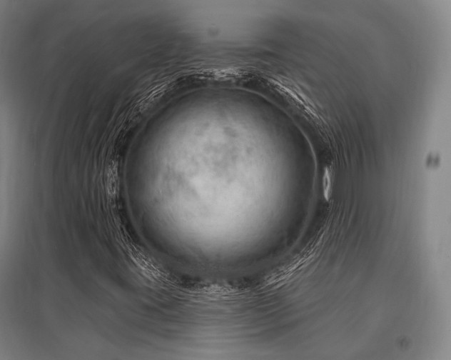 X0000095551395200712141545