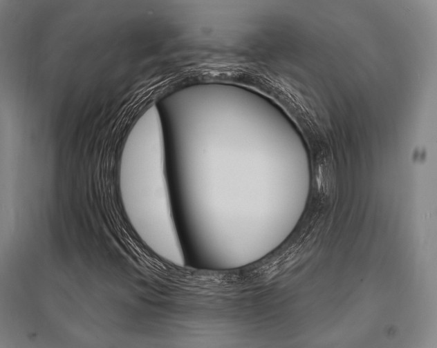 X0000095551396200712141545