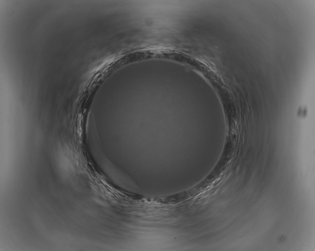 X0000095551398200712141545