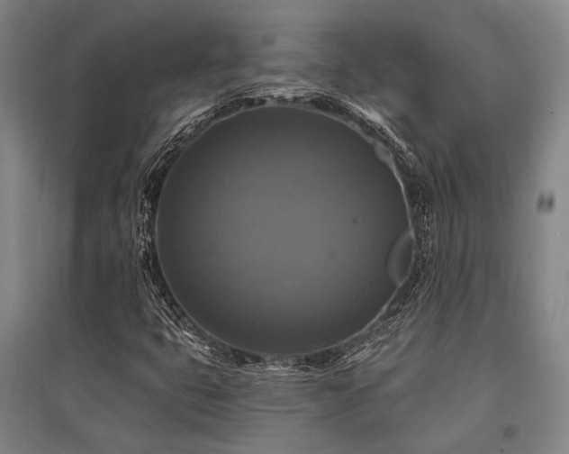 X0000095551399200712141545