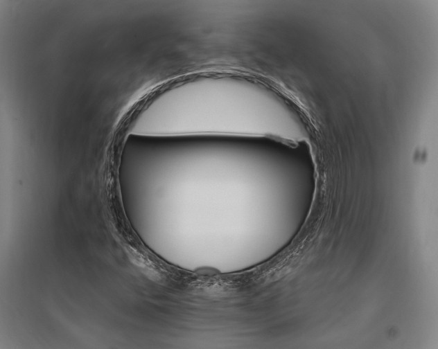 X0000095551400200712141545