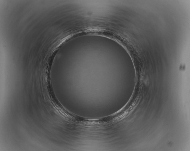 X0000095551401200712141545