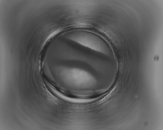 X0000095551402200712141545