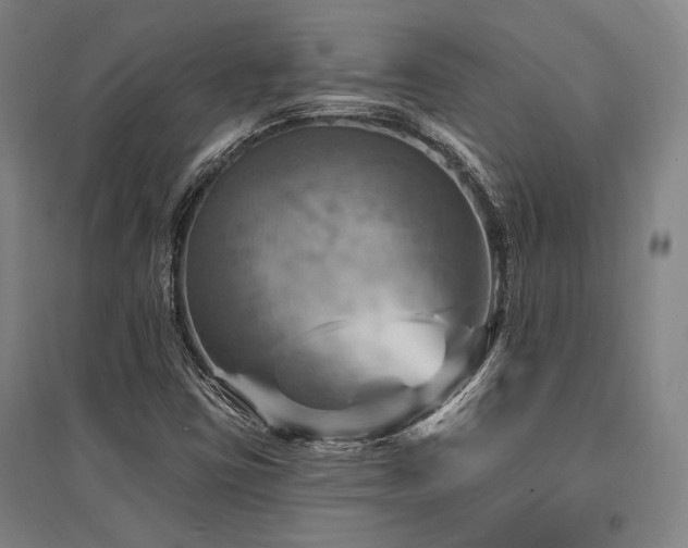 X0000095551403200712141545