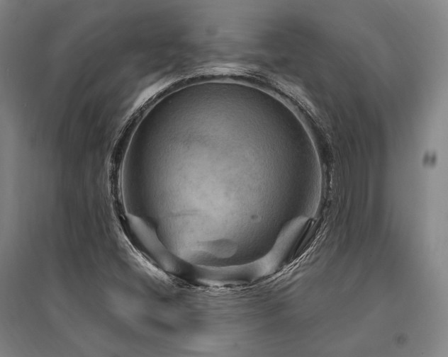 X0000095551404200712141545