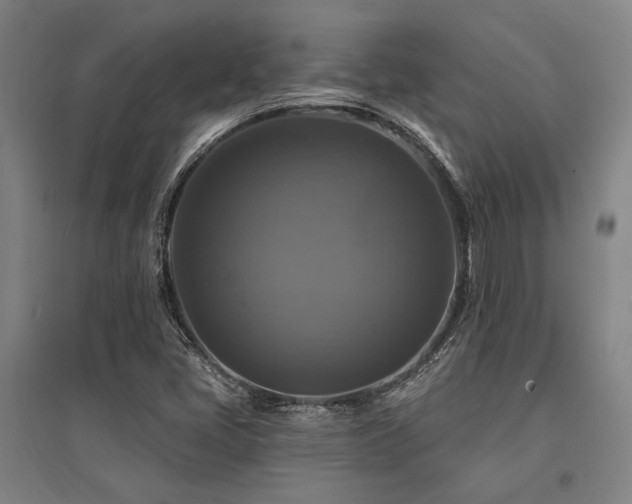 X0000095551405200712141545