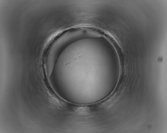 X0000095551406200712141545