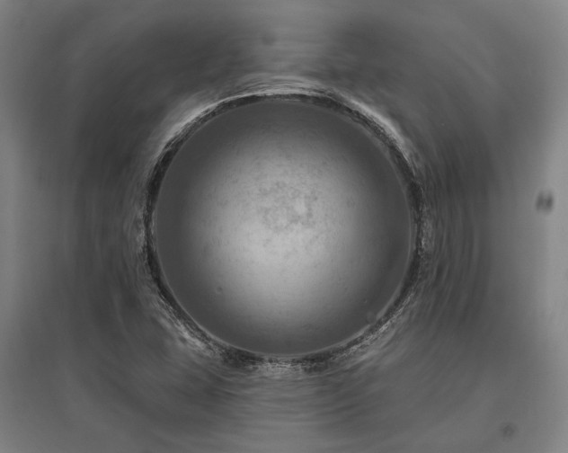 X0000095551407200712141545