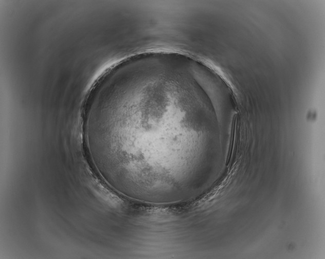X0000095551408200712141545