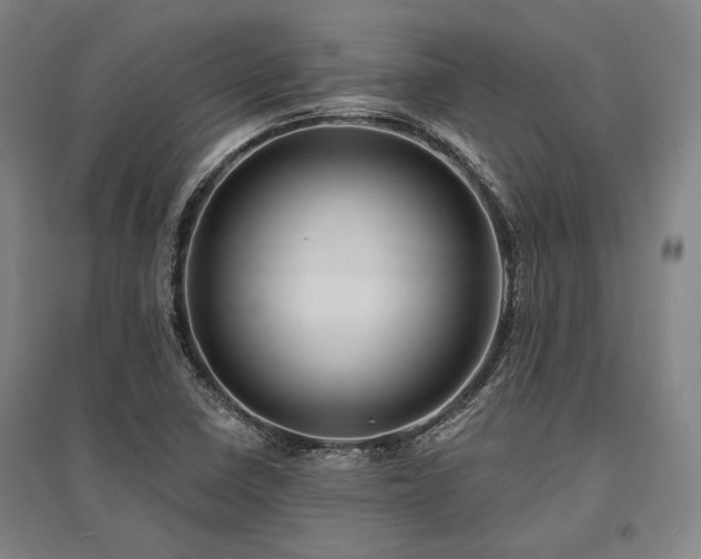 X0000095551410200712141545