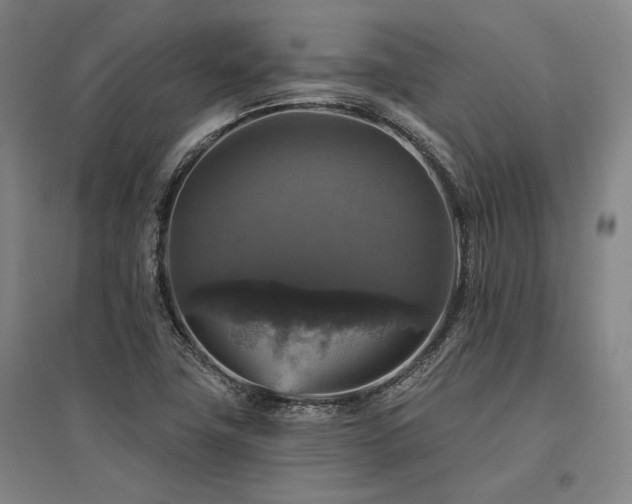 X0000095551411200712141545