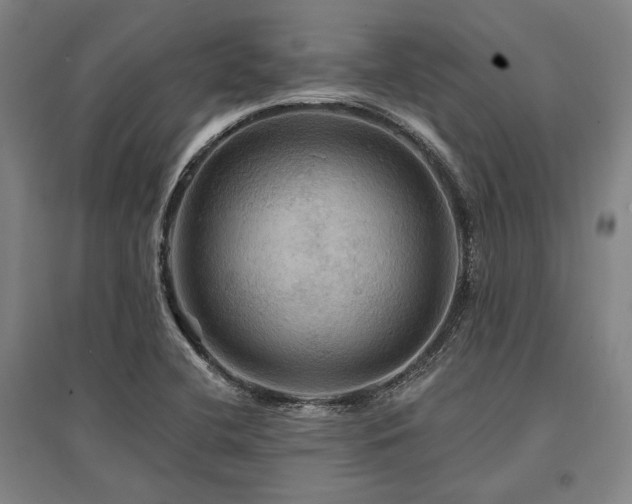 X0000095551412200712141545