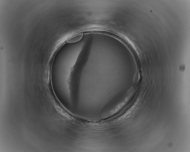 X0000095551413200712141545