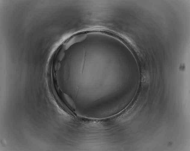 X0000095551414200712141545