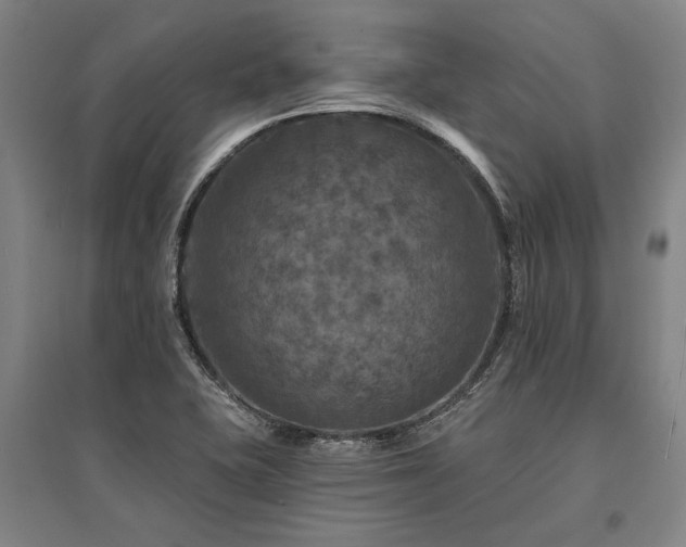 X0000095551415200712141545