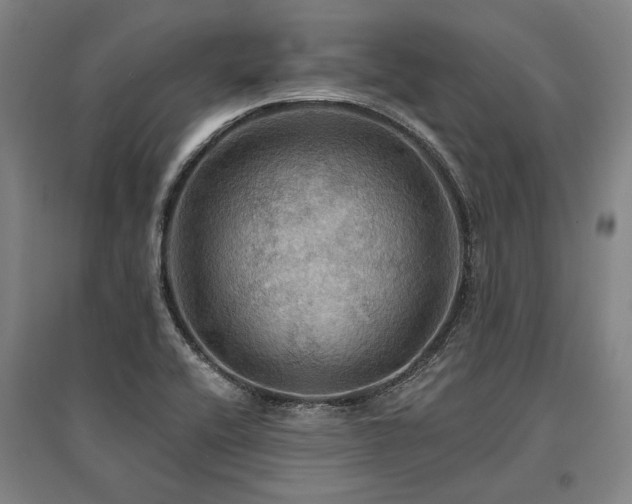X0000095551416200712141545