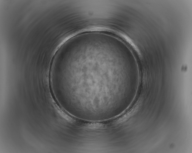 X0000095551417200712141545