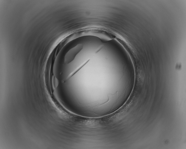 X0000095551418200712141545