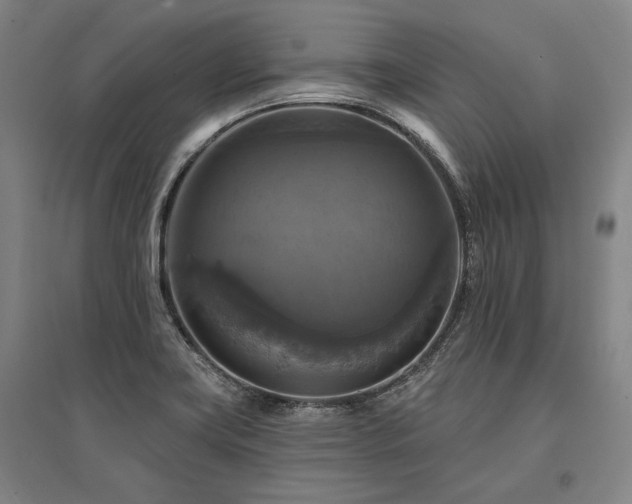 X0000095551419200712141545