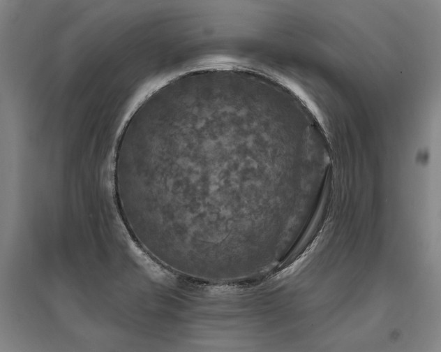 X0000095551421200712141545