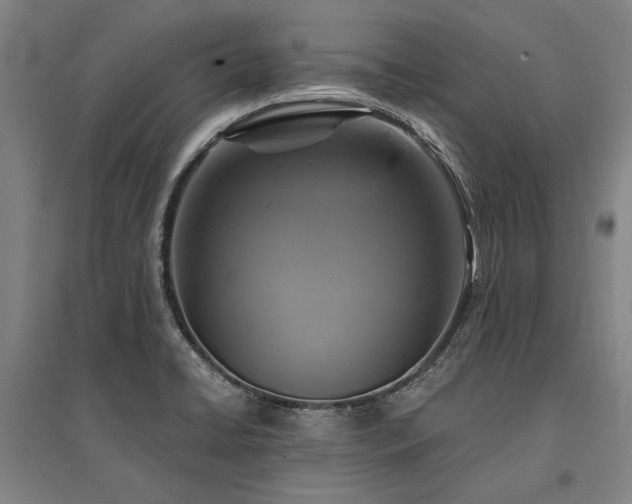 X0000095551422200712141545