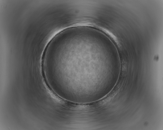 X0000095551423200712141545