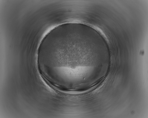 X0000095551424200712141545