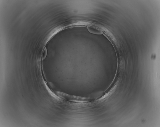X0000095551425200712141545